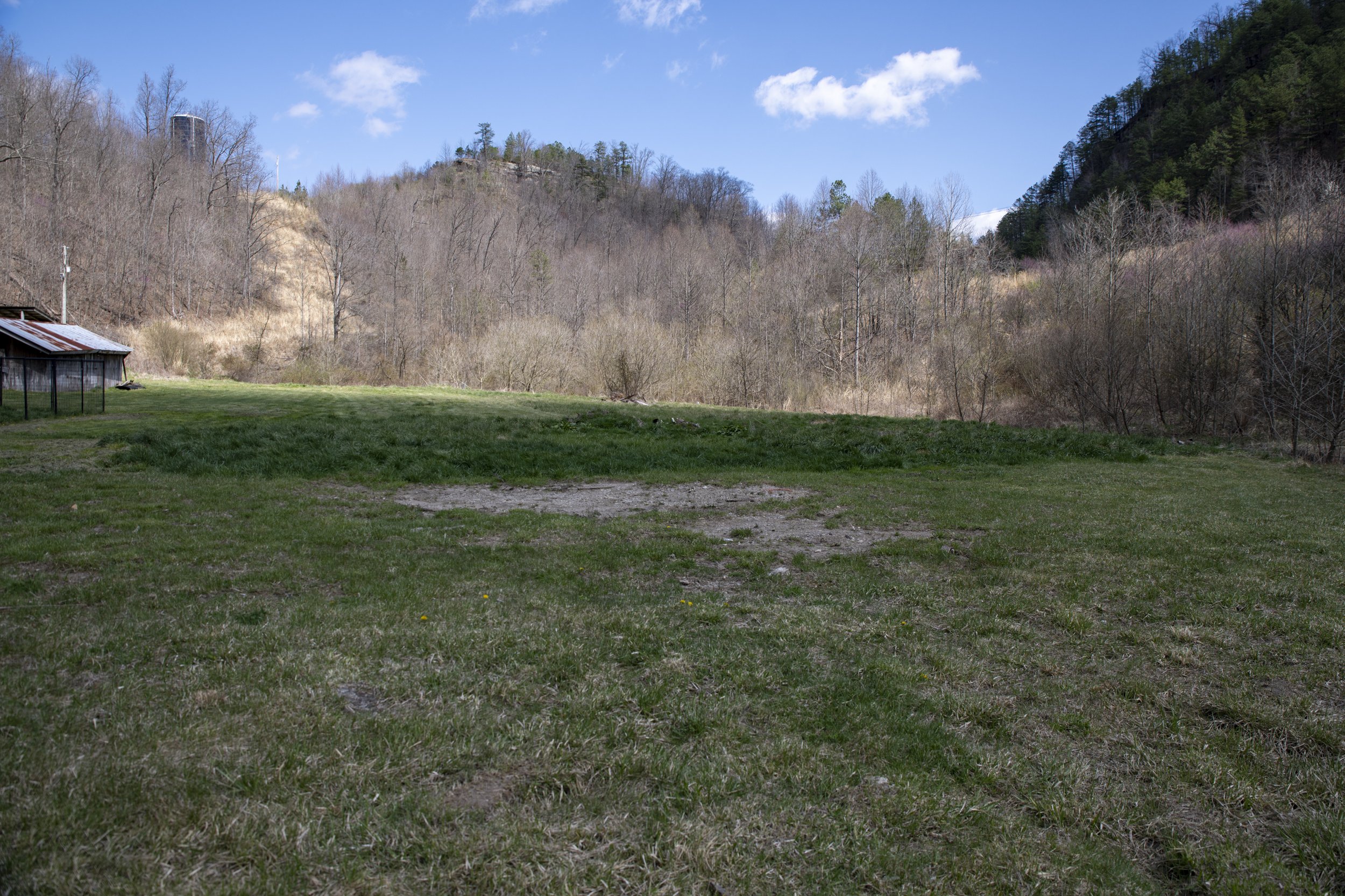 This is the planned area for three large canine runs.